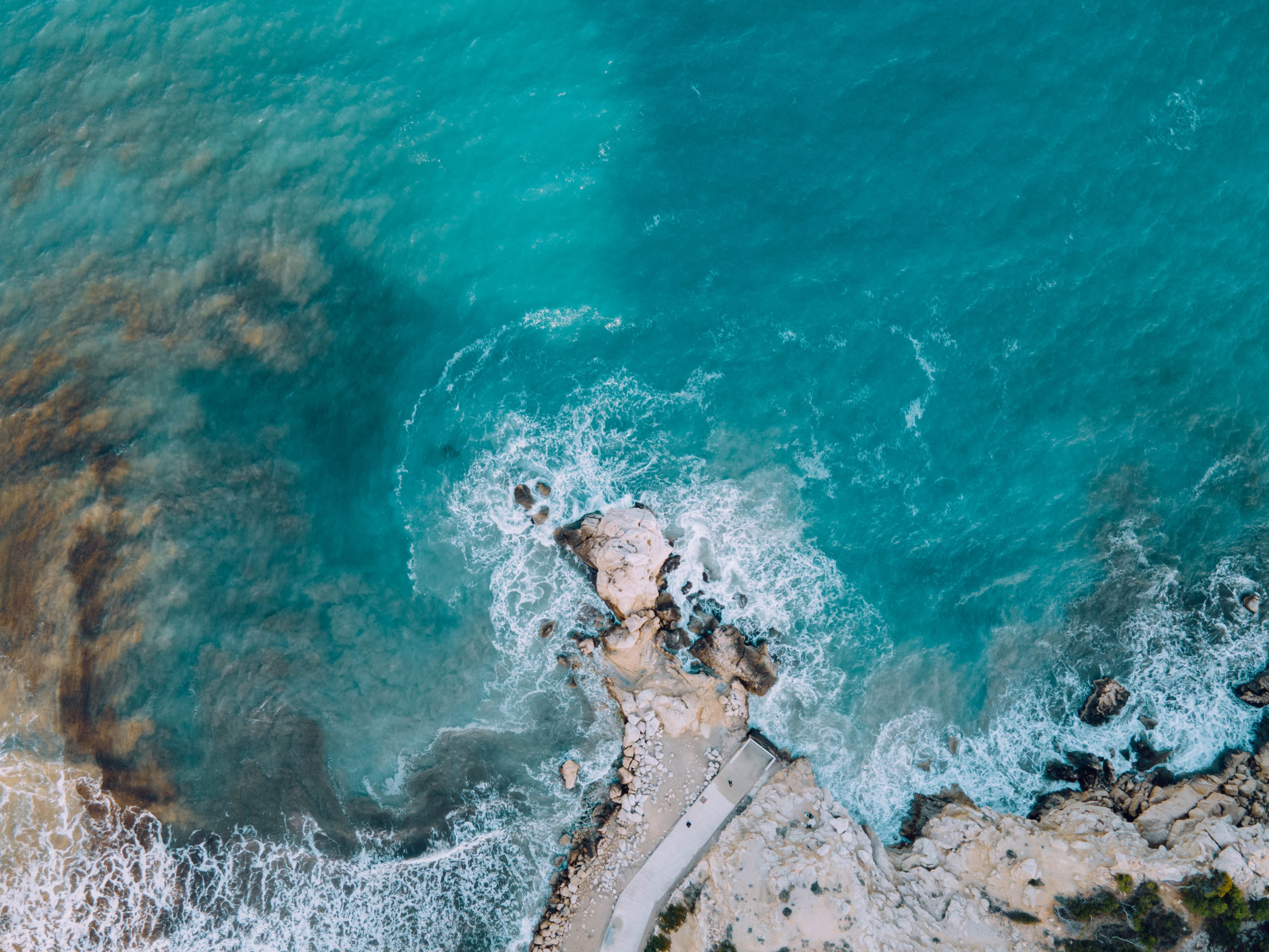 Pexels joan costa 14011476