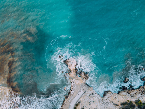 Pexels joan costa 14011476
